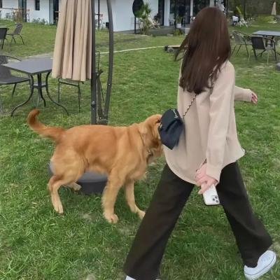 衰鬼上身3